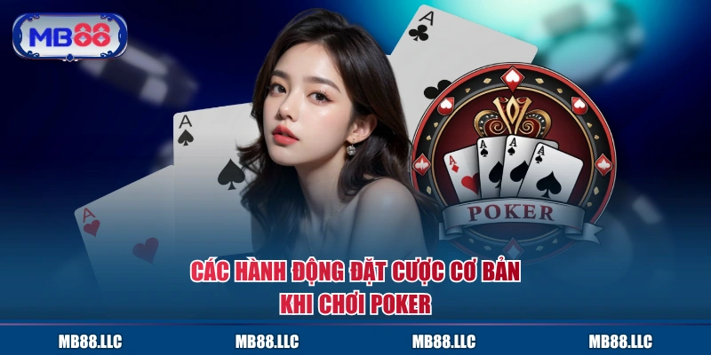 Các hành động đặt cược cơ bản khi chơi Poker