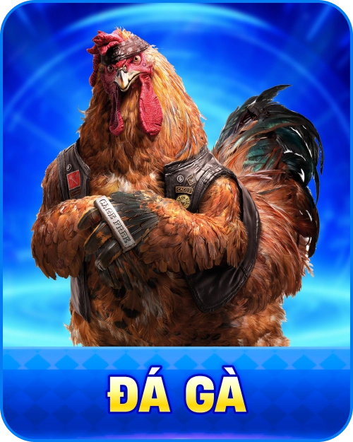Đá Gà